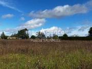 Terre Saint Leon Sur l'Isle Aquitaine 24110 DS96851749