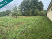 Terre Saint Vivien De Medoc Aquitaine 33590 DLS94674439