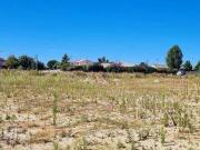 Terre Savenes Midi 82600 ES100055791