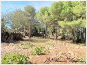 Terre SETE Languedoc Roussillon 34200 DS92065963 Terre SETE Languedoc Roussillon 34200 DS92065963