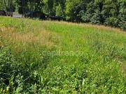 Terre ST GERVAIS LES BAINS Rhône Alpes 74170 DLS82041446