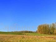 Terre VAUDESINCOURT Champagne Ardenne 51600 DS88508918