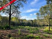 Terre Villamblard Aquitaine 24140 DS94392234