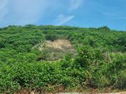 Terremo en VENTA en Fraccionamiento Club Campestre