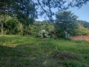 Terrena à venda no bairro Caturrita em Santa Maria