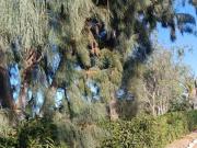 TERRENO 1000m2 EN HACIENDA LA JOYA