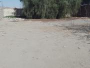 TERRENO 1000m2 EN PARQUE INDUSTRIAL AMEIN – EL PEDREGAL