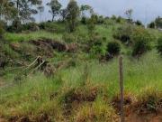 Terreno 1000m² em São Roque para garantir seu patrimônio