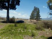 TERRENO 10,000 M2 SN LDIEGO TLALAYOTE HIDALGO TERRENO 10,000 M2 SN LDIEGO TLALAYOTE HIDALGO