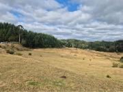 TERRENO 10 ha SECTOR PIRUQUINA CHILOE