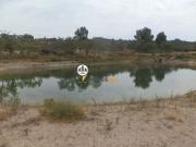 Terreno 10 hectares, venda, Castelo Branco