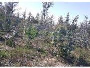 TERRENO 1100 M2 | BOM PREO