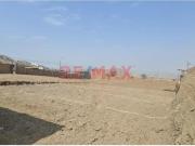 Terreno 119.90M2 En San Benito Carabayllo