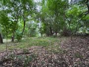 Terreno 1555 m2 Arturo Seguí La Plata