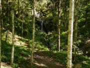 Terreno 1,200 m² en Venta Fracc. Las Flores, Mineral del...