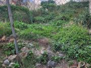 TERRENO 207 MTS XOCHIMILCO