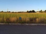 Terreno 250m² no Loteamento Jardim Ouro Verde Jardim ABC/GO