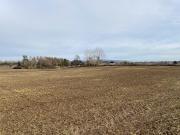 Terreno 30.000 M2 Población San Ramón