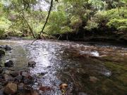 TERRENO 31 HECTAREAS, ORILLA DEL RIO COILACO, A 26 KM...