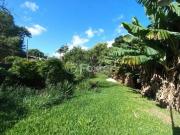 Terreno, 3 dormitórios, 1290.375 m², em Jari