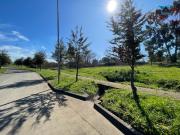 Terreno 3HA En Venta, Sector Industrial, Lautaro