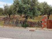Terreno 4250m2,Lentiscais, Castelo Branco
