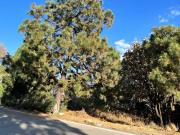 Terreno 483 m2 en venta, Cielo Country Club