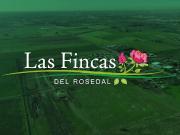 TERRENO 453 M2 BARRIO ABIERTO RESIDENCIAL LAS FINCAS DEL...