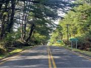 Terreno 5000 M2 Pucón