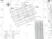 TERRENO 50 HECTÁREAS RÚSTICO AGRICOLA GANADERO EN VENTA...