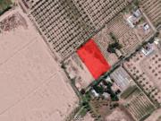 Terreno 5.000 m² Rodeo del Medio Maipú