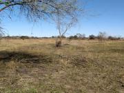TERRENO 5.188 M2 EN OPORTUNIDAD CNO. V. POSSE
