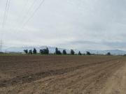 TERRENO 9,3 HECTAREAS SAN BERNARDO SANTIAGO