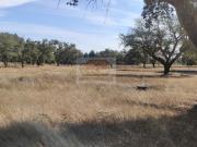 Terreno a 10 minutos de Grândola, a 25 minutos de...