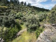 Terreno a confinar com ribeiro Lentiscais