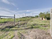 Terreno, A dos Cunhados e Maceira