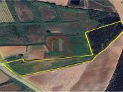 Terreno, A Dos Cunhados e Maceira, Torres Vedras | BPI...