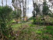 Terreno, A dos Cunhados e Maceira, Torres Vedras | BPI...