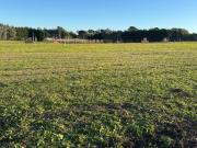 Terreno a la venta en barrio privado Casonas del Haras