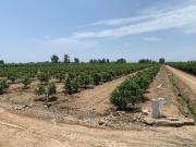 Terreno a la Venta en Cañete