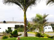 Terreno a la Venta en Condominio Flamencos Huacho