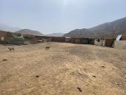 Terreno a la Venta en Pachacamac Comunidad Campesina...