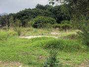 Terreno a la venta, en Rancho San Juan Cod. VTE719