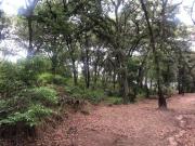 Terreno a la Venta, Excelente ubicación en Rancho San...