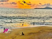 TERRENO A ORILLA DE PLAYA EN LA MEJOR ZONA DE MANZANILLO