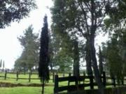 Terreno a pie de carretera a 2 km cedis Topilejo. 10,000 m2