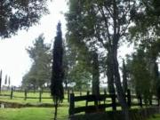 Terreno a pie de carretera a 2 km cedis Topilejo. 10,000 m2