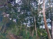 Terreno à venda, 1000 m² por R$ 240.000,00 Recreio São...