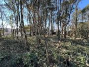 Terreno à venda, 1000 m² por R$ 250.000,00 Embu Colombo/PR