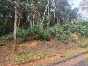 Terreno à venda, 1000 m² por R$ 260.000,00 Canada...